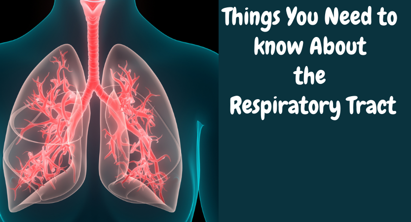 Things you need to know about the respiratory tract