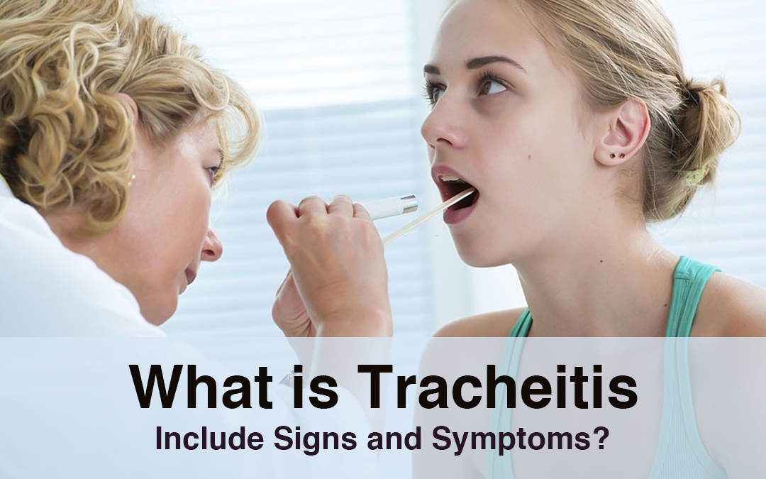 What is Tracheitis, including signs and symptoms?